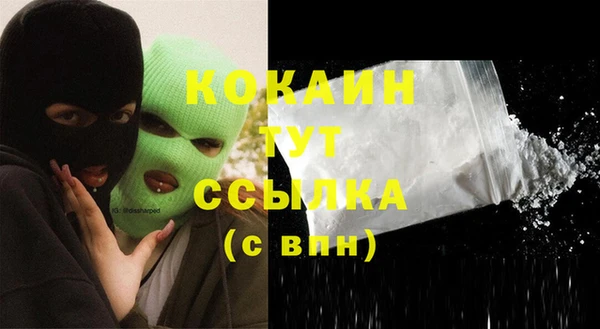 твердый Нягань