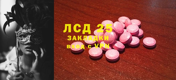 ГАЛЛЮЦИНОГЕННЫЕ ГРИБЫ Дубовка