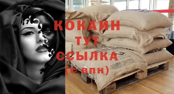 винт Дубна