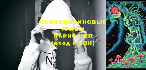 экстази Няндома