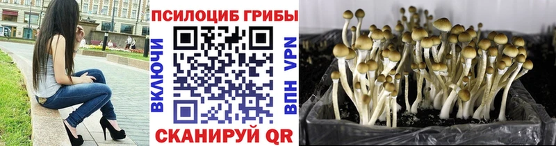 Псилоцибиновые грибы Cubensis  что такое наркотик  Озёрск 